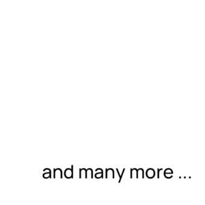 more partner logo